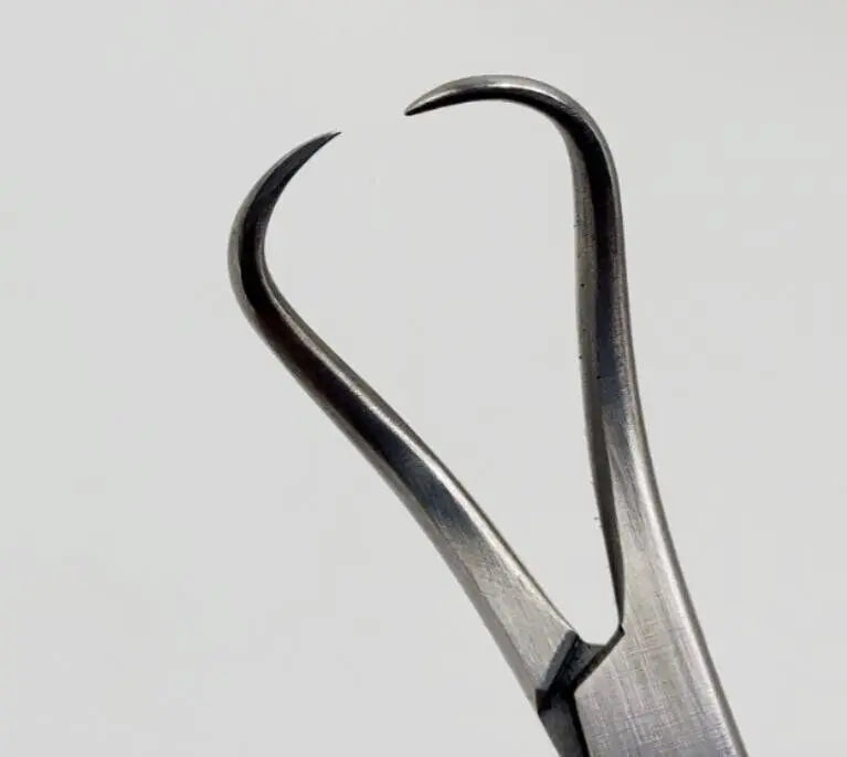 Konig MDS1411109 Backhaus Towel Forceps 4" Konig