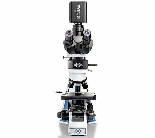 i4 Epi Lumin Fluorescence Microscope (Binocular and Trinocular) LW Scientific