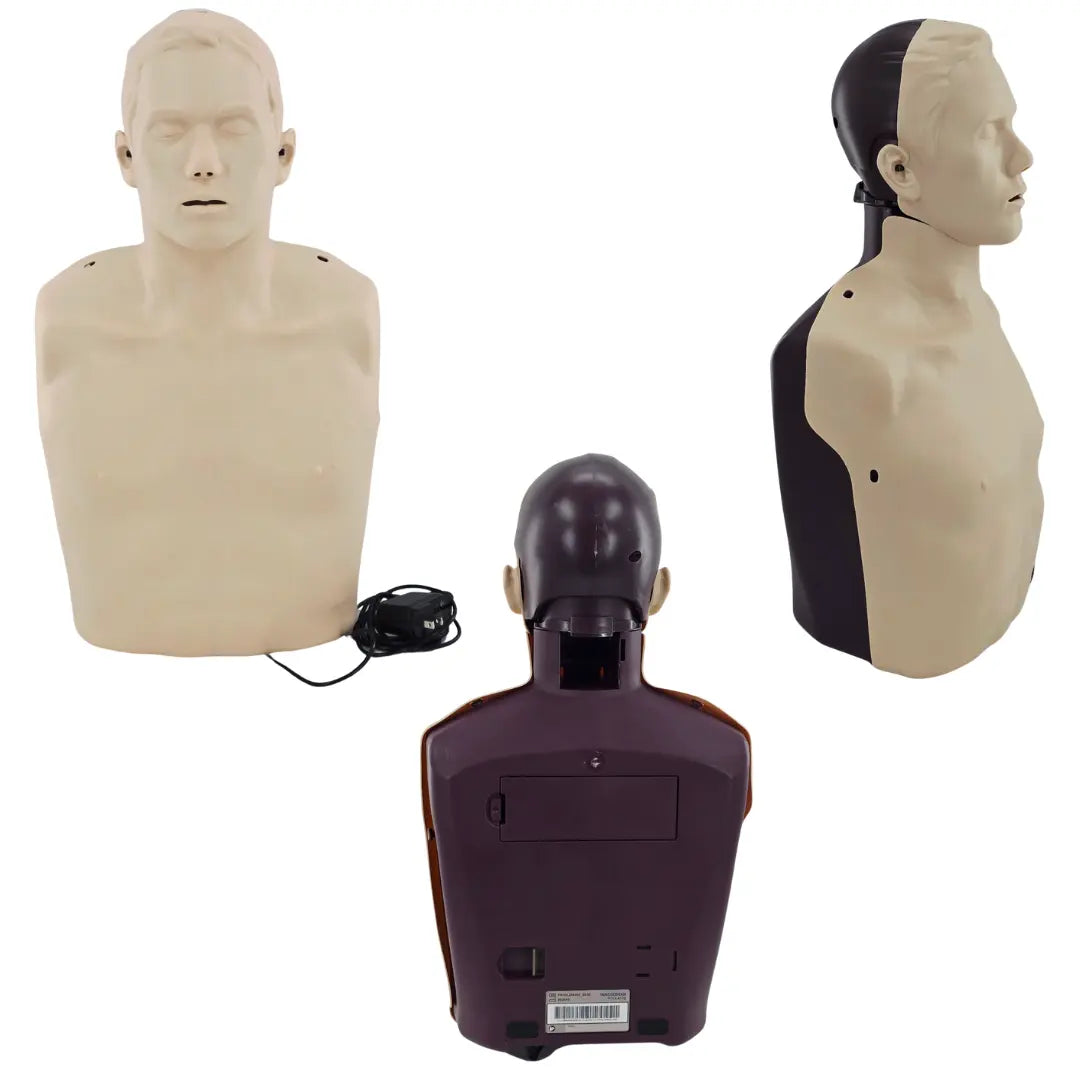Innosonian Brayden Pro Adult CPR Training Manikin Ki Primis Medical