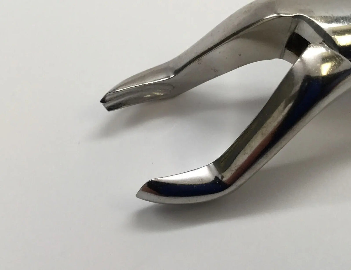 W. Lorenz 09-0459 Left Upper Molar #53L Extracting Dental Forceps W. Lorenz