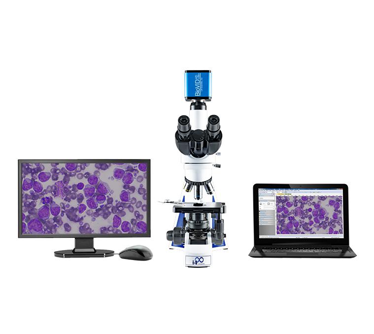 BioVID HD 1080+ Video Cam with or without monitor, 2mp, 1080p Microscope Camera LW Scientific