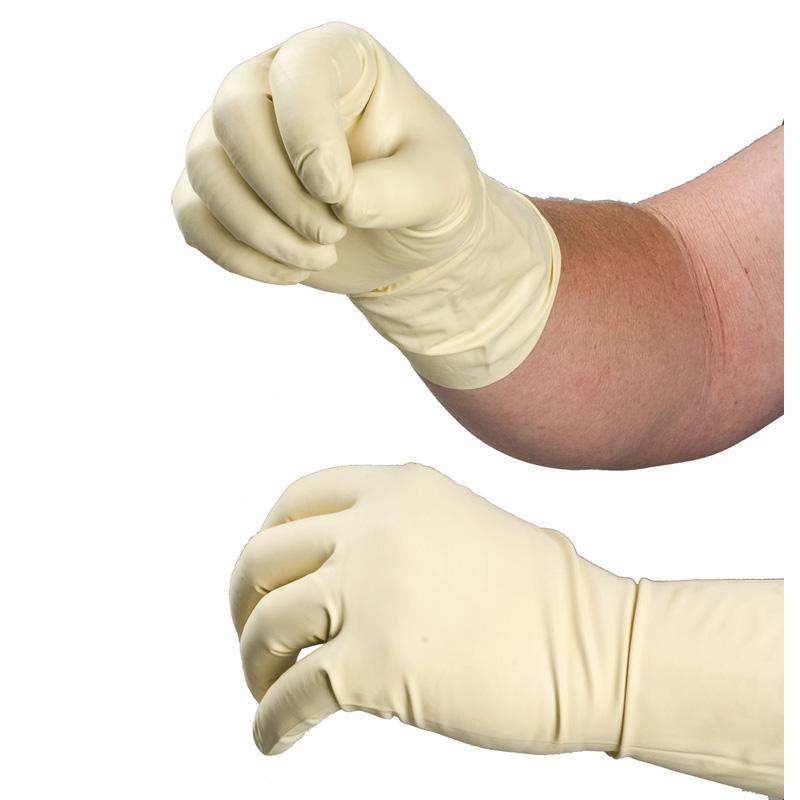 disposable gloves worn by a man close up of hands on white background.