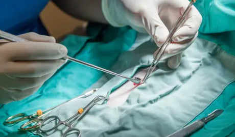Selection of professional-grade stainless steel veterinary instruments, including specialized retractors, bone rongeurs, and dental scaling tools.