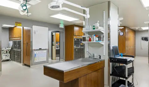 Veterinary Equipment Primis Medical