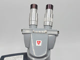 American Optical Spencer Binocular Compound Microscope 10X / 45X / 100X Oil