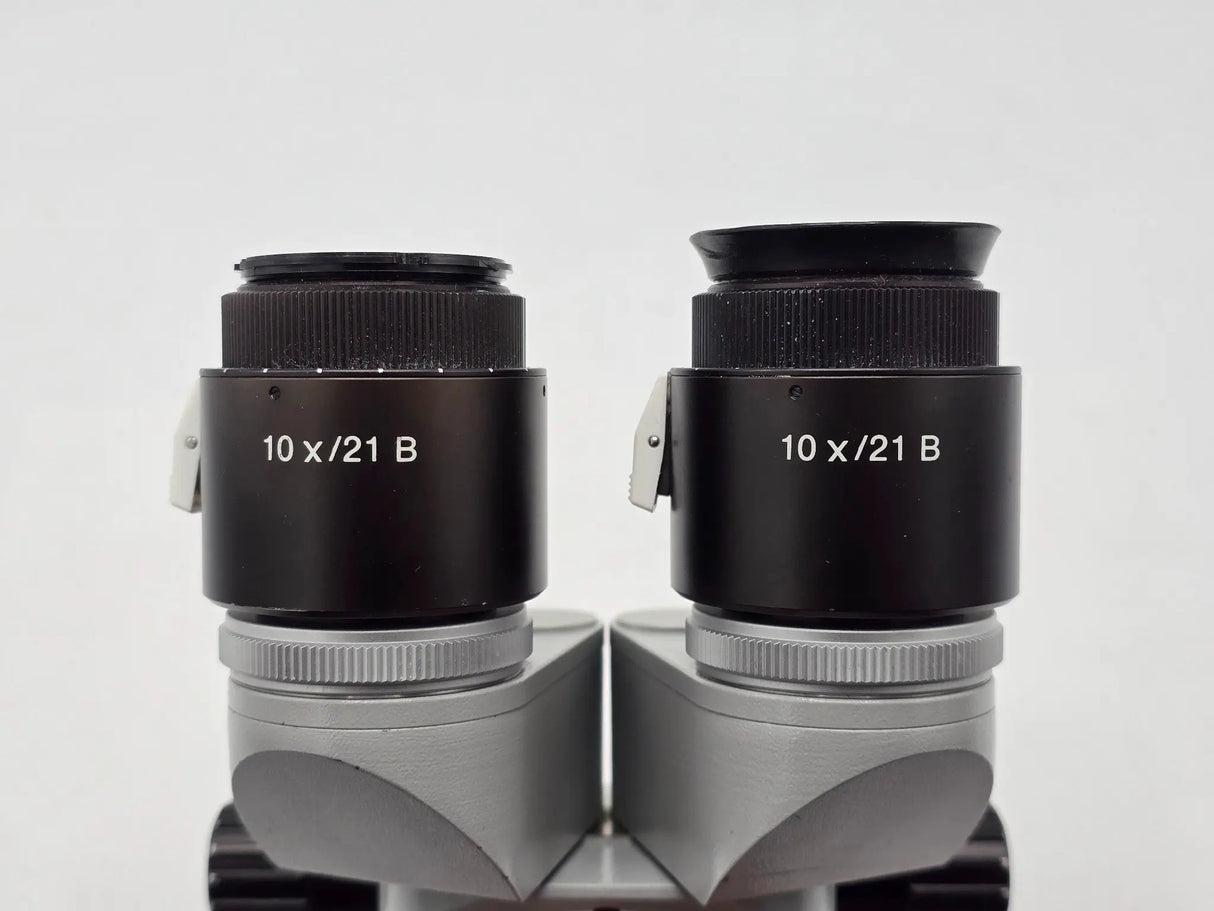 Carl Zeiss f=170 Binocular Microscope Head w/ 10x/21B Eyepieces Primis Medical