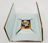 Steris P-764326-484 Kit Repair CK8 Steris