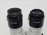 Carl Zeiss f=170 Binocular Microscope Head Beam Splitter 10x/22B Primis Medical