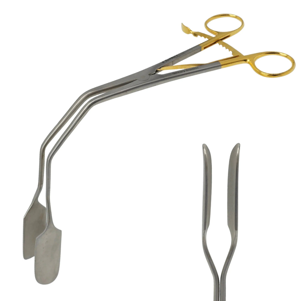 Euro-med Equipment 1/EA