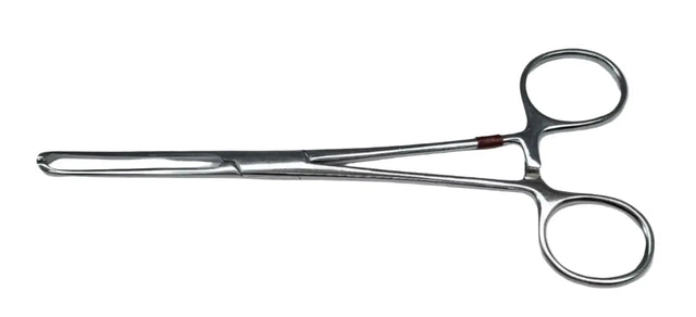 Jarit 135-100 4 x 5 Teeth Allis Intestinal Tissue Forceps 6" Jarit