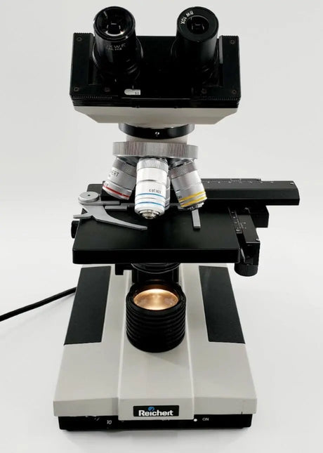 Reichert Jung 310 Compound Microscope Reichert Jung