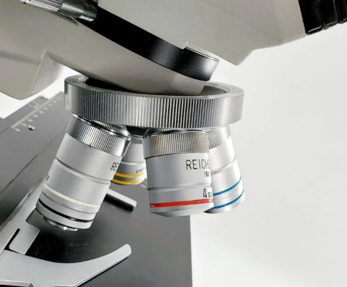Reichert Jung 310 Compound Microscope Reichert Jung