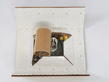 Steris P764073001 Valve Repair Kit 3/8" NPT Steris