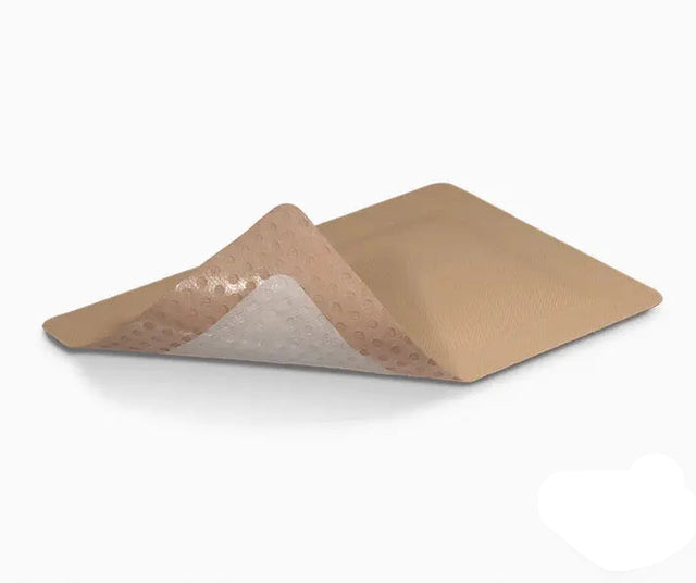 Advancis Eclypse Border Super Absorbent Silicone Dressing 10 Box Advancis Medical
