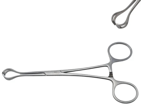 V. Mueller SU5005 Glassman Babcock Forceps 1cm Jaw Rounded Corners Surgical Tool Primis Medical