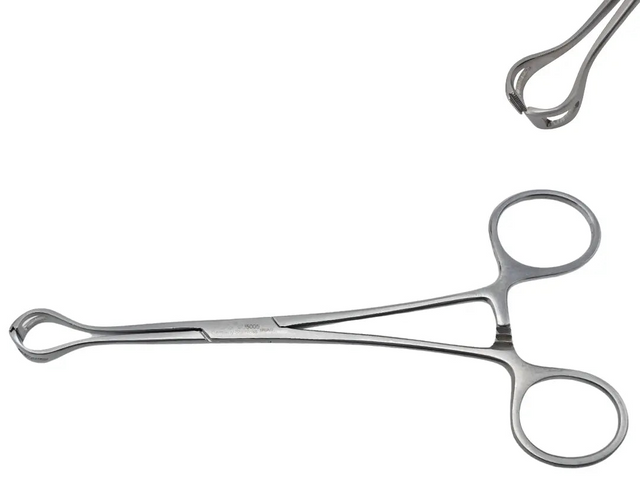 V. Mueller SU5005 Glassman Babcock Forceps 1cm Jaw Rounded Corners Surgical Tool Primis Medical