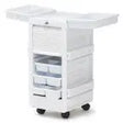 Brandt 30820 Poly Cart, w/5 Drawers Brandt