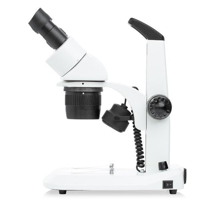 DM on Dual Mag Stereoscope 10x/30x on dual LED light stand LW Scientific