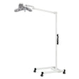 Waldmann Triango LED 100-3 F, Dimming, Color Changing - Floor Stand Waldmann Lighting